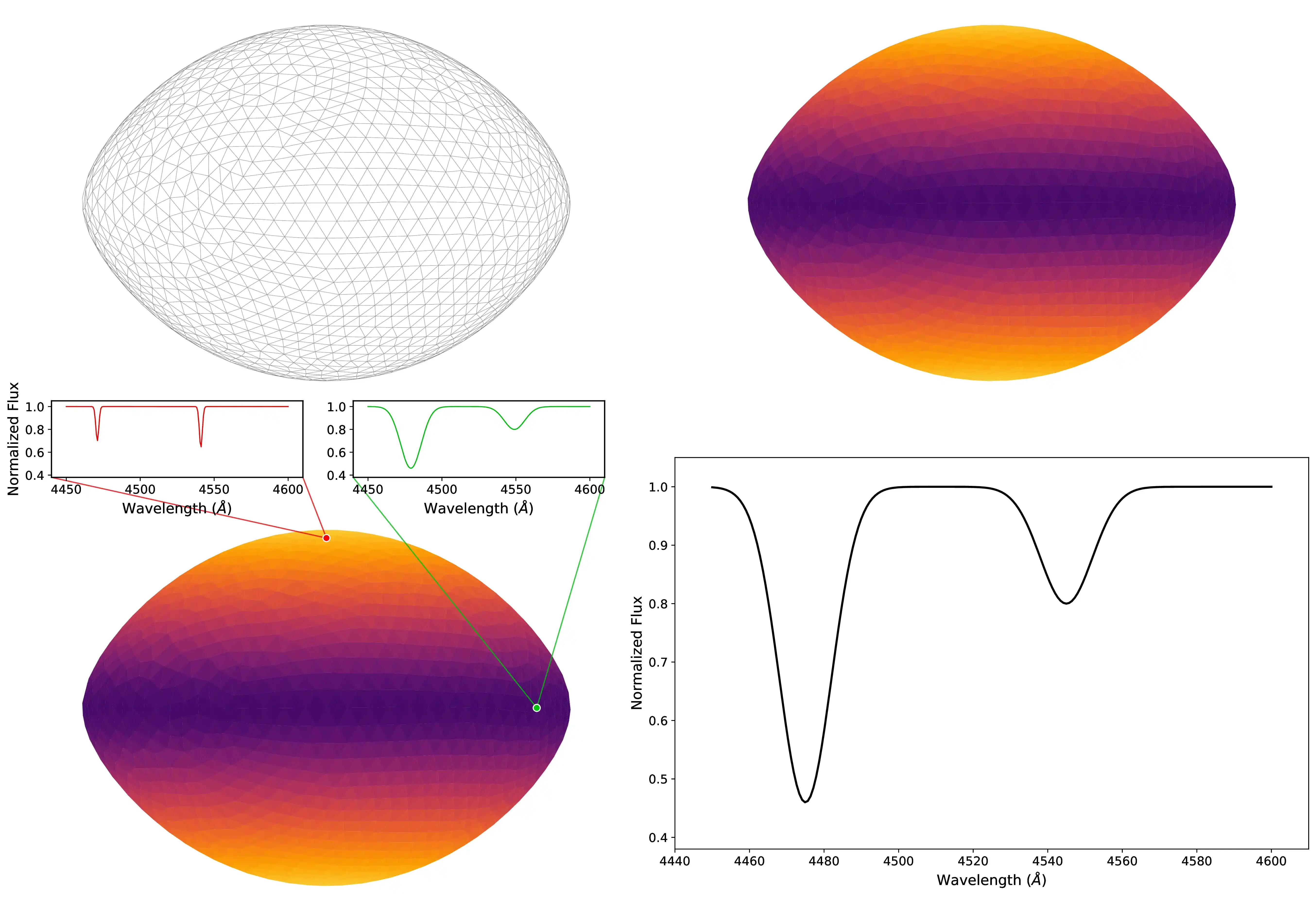 Four panels: a triangulated mesh of a rotating star; the same mesh coloured by temperature; spectra assigned to two surface elements; the integrated line profile.